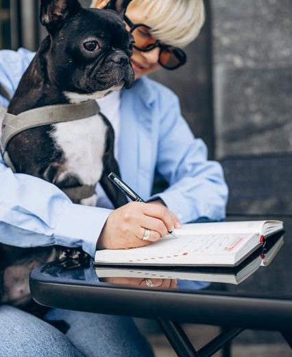 Podatek od psa Warszawa – najważniejsze informacje i obowiązki właścicieli