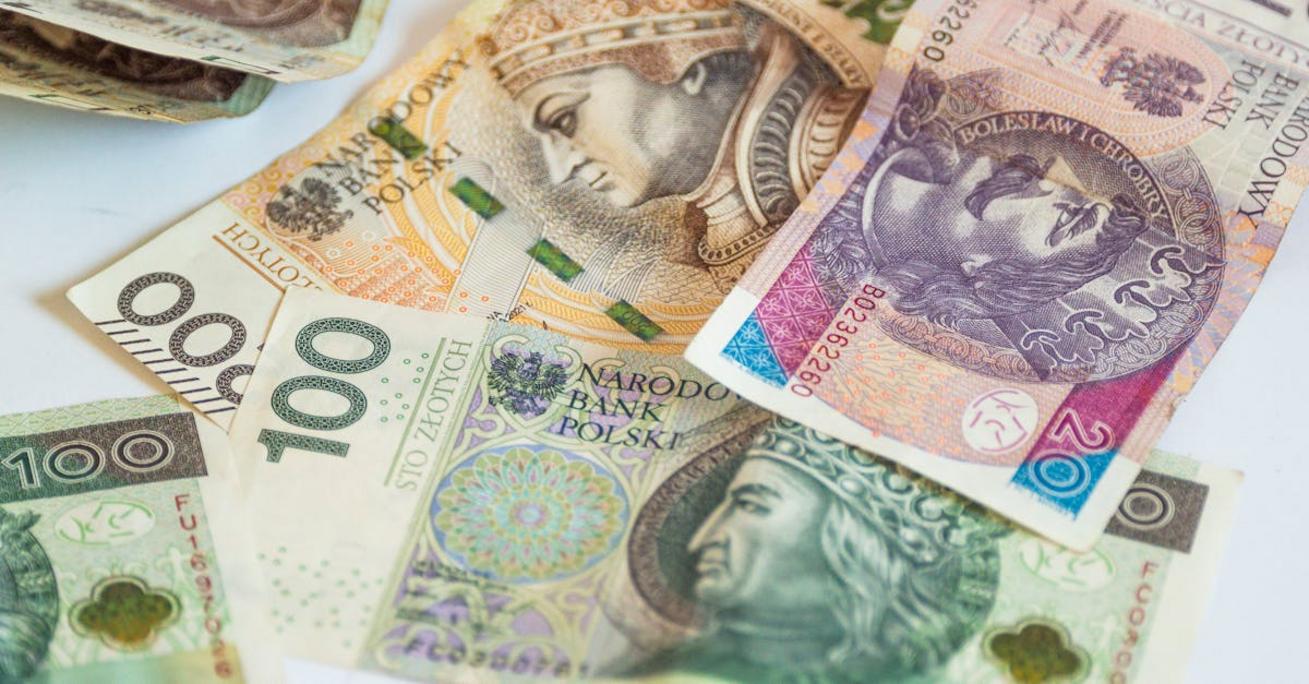 pln co to znaczy i jak wykorzystać tę walutę w transakcjach