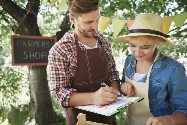 Dopłaty dla rolników – kluczowe informacje o dostępnych formach wsparcia